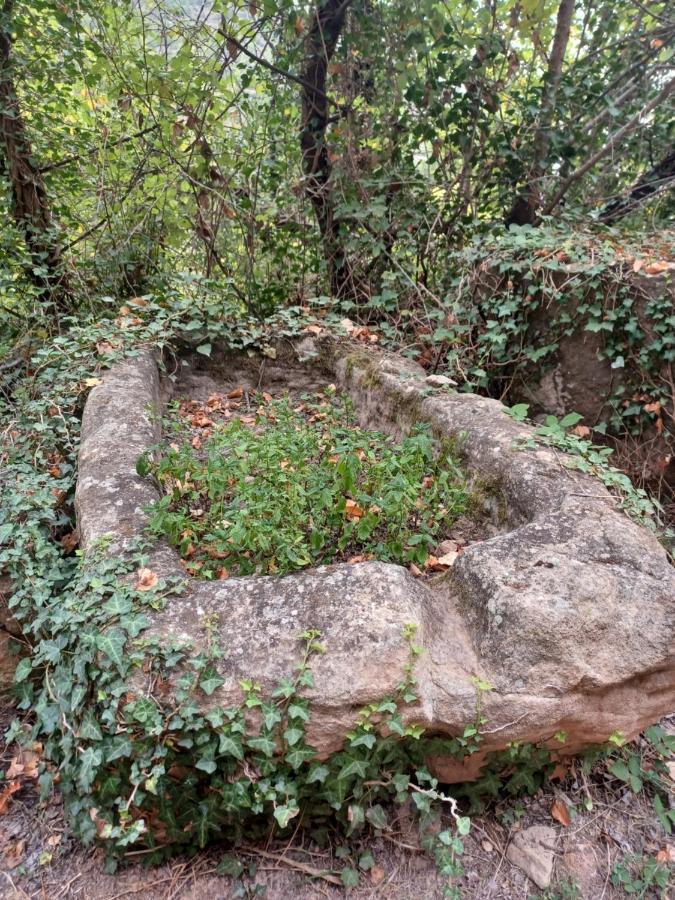 La Vieja Escuela Villa Fuentes de Rubielos Bagian luar foto
